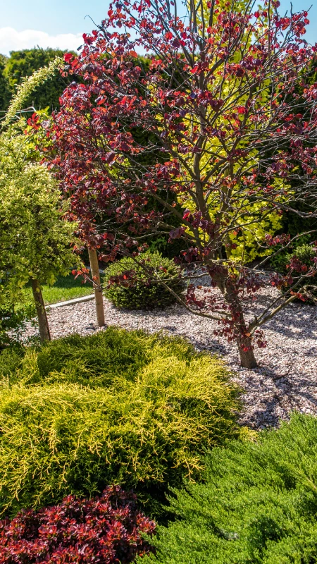 Landscaping Services